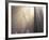 Sunlight Illuminating Fog in Barren Forest-Darrell Gulin-Framed Photographic Print