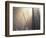 Sunlight Illuminating Fog in Barren Forest-Darrell Gulin-Framed Photographic Print