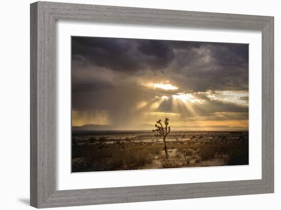 Sunlight on Desert Landscape in USA-Jody Miller-Framed Photographic Print
