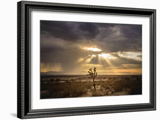 Sunlight on Desert Landscape in USA-Jody Miller-Framed Photographic Print