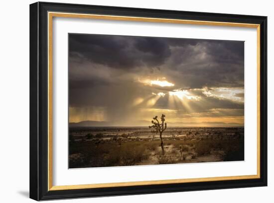 Sunlight on Desert Landscape in USA-Jody Miller-Framed Photographic Print