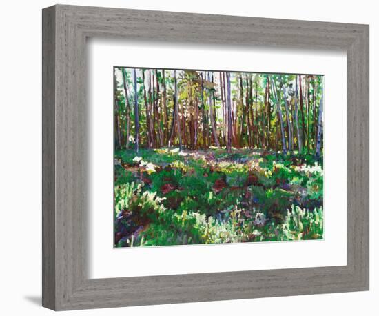 Sunlight on Heather, 2011, (oil on canvas)-Helen White-Framed Giclee Print