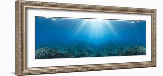 Sunlight over coral reef in the Pacific Ocean, Hawaii, USA-Panoramic Images-Framed Photographic Print