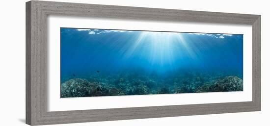 Sunlight over coral reef in the Pacific Ocean, Hawaii, USA-Panoramic Images-Framed Photographic Print