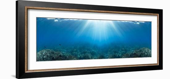 Sunlight over coral reef in the Pacific Ocean, Hawaii, USA-Panoramic Images-Framed Photographic Print