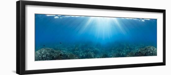 Sunlight over coral reef in the Pacific Ocean, Hawaii, USA-Panoramic Images-Framed Photographic Print