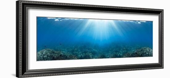 Sunlight over coral reef in the Pacific Ocean, Hawaii, USA-Panoramic Images-Framed Photographic Print