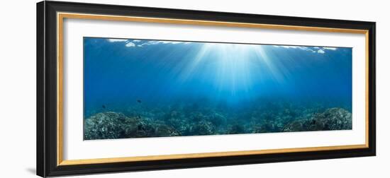 Sunlight over coral reef in the Pacific Ocean, Hawaii, USA-Panoramic Images-Framed Photographic Print