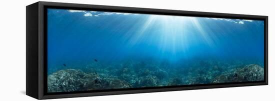 Sunlight over coral reef in the Pacific Ocean, Hawaii, USA-Panoramic Images-Framed Premier Image Canvas