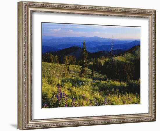 Sunlight over Field and Flowers, Portneuf Mountains, Bear River Range, Cache National Forest, Idaho-Scott T^ Smith-Framed Photographic Print