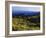 Sunlight over Field and Flowers, Portneuf Mountains, Bear River Range, Cache National Forest, Idaho-Scott T^ Smith-Framed Photographic Print