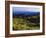 Sunlight over Field and Flowers, Portneuf Mountains, Bear River Range, Cache National Forest, Idaho-Scott T^ Smith-Framed Photographic Print