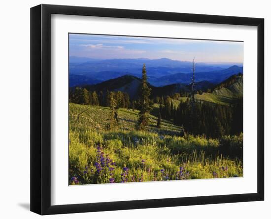 Sunlight over Field and Flowers, Portneuf Mountains, Bear River Range, Cache National Forest, Idaho-Scott T^ Smith-Framed Photographic Print
