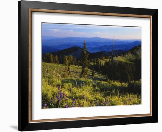 Sunlight over Field and Flowers, Portneuf Mountains, Bear River Range, Cache National Forest, Idaho-Scott T^ Smith-Framed Photographic Print