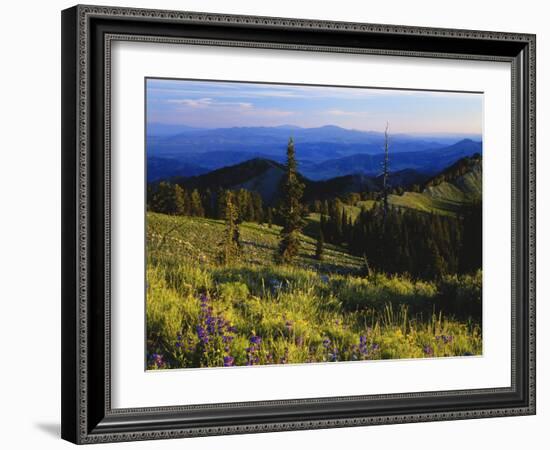 Sunlight over Field and Flowers, Portneuf Mountains, Bear River Range, Cache National Forest, Idaho-Scott T^ Smith-Framed Photographic Print