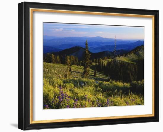 Sunlight over Field and Flowers, Portneuf Mountains, Bear River Range, Cache National Forest, Idaho-Scott T^ Smith-Framed Photographic Print