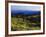 Sunlight over Field and Flowers, Portneuf Mountains, Bear River Range, Cache National Forest, Idaho-Scott T^ Smith-Framed Photographic Print