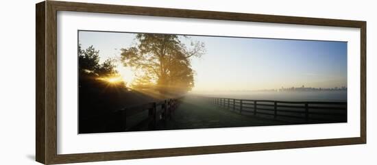 Sunlight Passing Through Trees, Horse Farm, Woodford County, Kentucky, USA-null-Framed Photographic Print