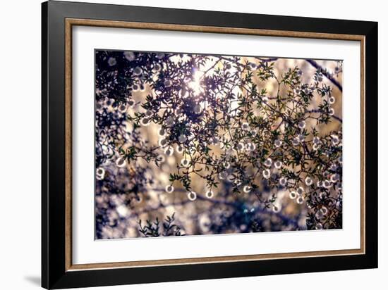 Sunlight Peeking Through Leaves and Flowers-null-Framed Photo