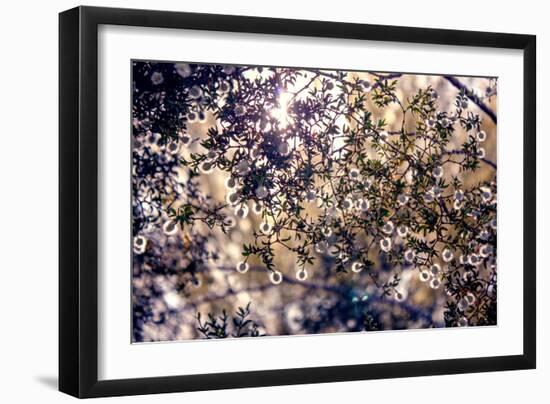 Sunlight Peeking Through Leaves and Flowers-null-Framed Photo