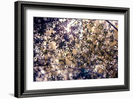 Sunlight Peeking Through Leaves and Flowers-null-Framed Photo