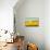 Sunlight Returns II-Bonita Williams Goldberg-Giclee Print displayed on a wall