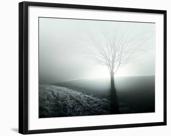 Sunlight Shining behind Lone Tree-Jan Lakey-Framed Photographic Print