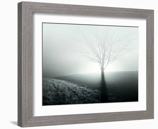 Sunlight Shining behind Lone Tree-Jan Lakey-Framed Photographic Print