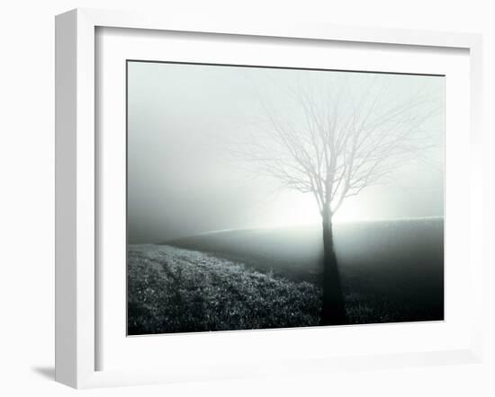 Sunlight Shining behind Lone Tree-Jan Lakey-Framed Photographic Print