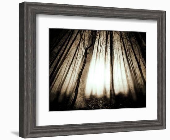 Sunlight Shining through Dense Forest-Jan Lakey-Framed Photographic Print