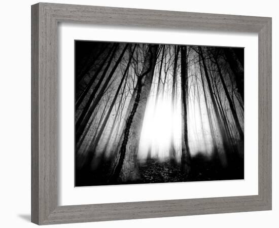 Sunlight Shining through Dense Forest-Jan Lakey-Framed Photographic Print