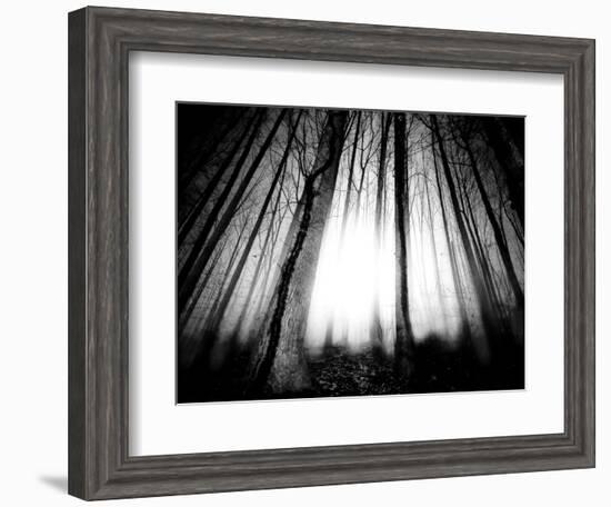 Sunlight Shining through Dense Forest-Jan Lakey-Framed Photographic Print