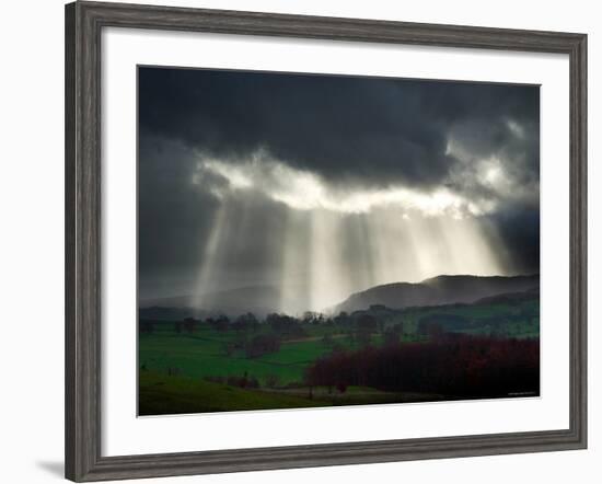 Sunlight Streaks onto Emerald Fields with Trees and Livestock-Tommy Martin-Framed Photographic Print