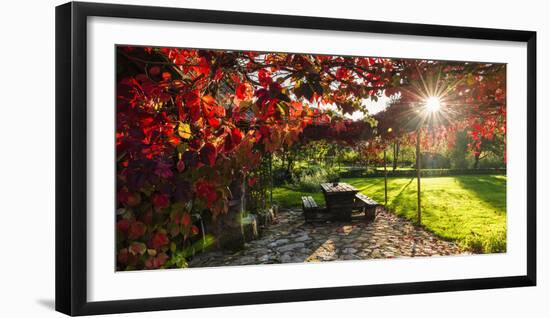 Sunlight Through Autumn Grape Vines, Korana Village, Plitvice Lakes National Park, Croatia-Russ Bishop-Framed Photographic Print