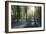 Sunlight Through Trees in Bluebell Woods, Micheldever, Hampshire, England-David Clapp-Framed Photographic Print