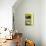 Sunlight Umbrian Farmhouse-Gillian Furlong-Giclee Print displayed on a wall