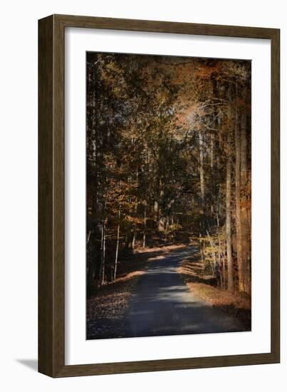 Sunlit Autumn Path-Jai Johnson-Framed Giclee Print