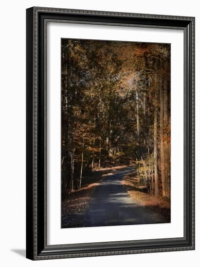 Sunlit Autumn Path-Jai Johnson-Framed Giclee Print