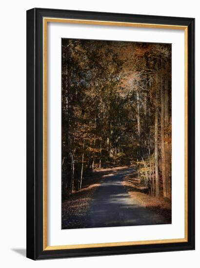 Sunlit Autumn Path-Jai Johnson-Framed Giclee Print