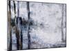 Sunlit bark II-Alexys Henry-Mounted Giclee Print