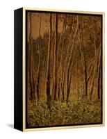 Sunlit Birches, 1924-Gunnar Widforss-Framed Premier Image Canvas
