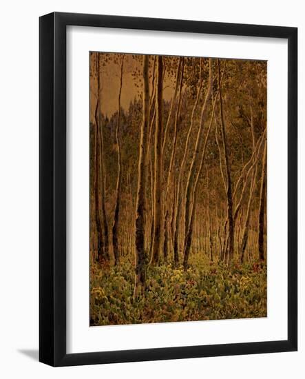 Sunlit Birches, 1924-Gunnar Widforss-Framed Giclee Print