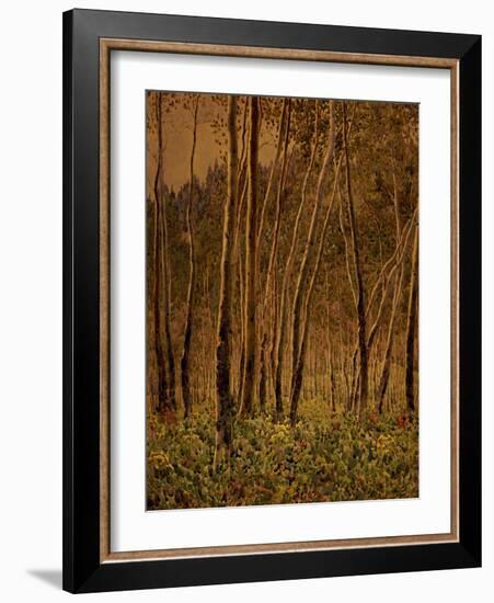 Sunlit Birches, 1924-Gunnar Widforss-Framed Giclee Print