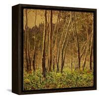Sunlit Birches, 1924-Gunnar Widforss-Framed Premier Image Canvas