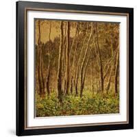 Sunlit Birches, 1924-Gunnar Widforss-Framed Giclee Print