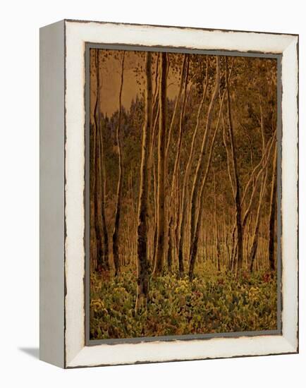 Sunlit Birches, 1924-Gunnar Widforss-Framed Premier Image Canvas
