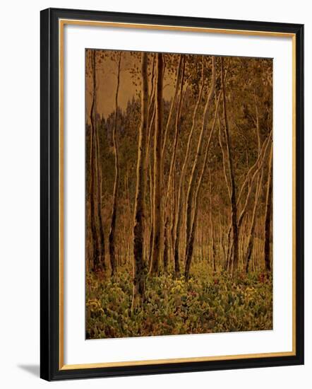 Sunlit Birches, 1924-Gunnar Widforss-Framed Giclee Print