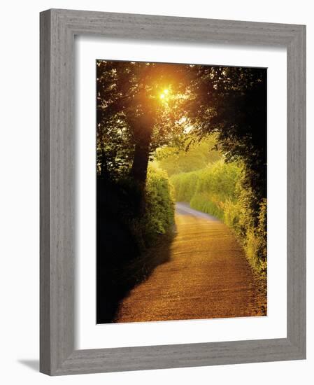 Sunlit Country Lane, Devon, England-Peter Adams-Framed Photographic Print