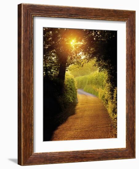 Sunlit Country Lane, Devon, England-Peter Adams-Framed Photographic Print