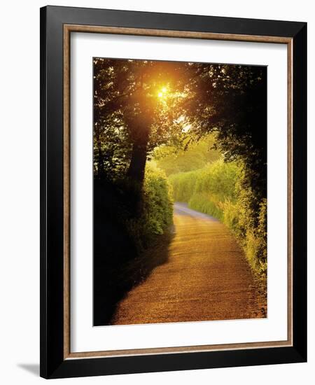 Sunlit Country Lane, Devon, England-Peter Adams-Framed Photographic Print